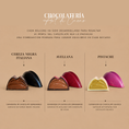 Cargar la imagen en la vista de la galería, Chocolates belga caja tulipanes | MD01