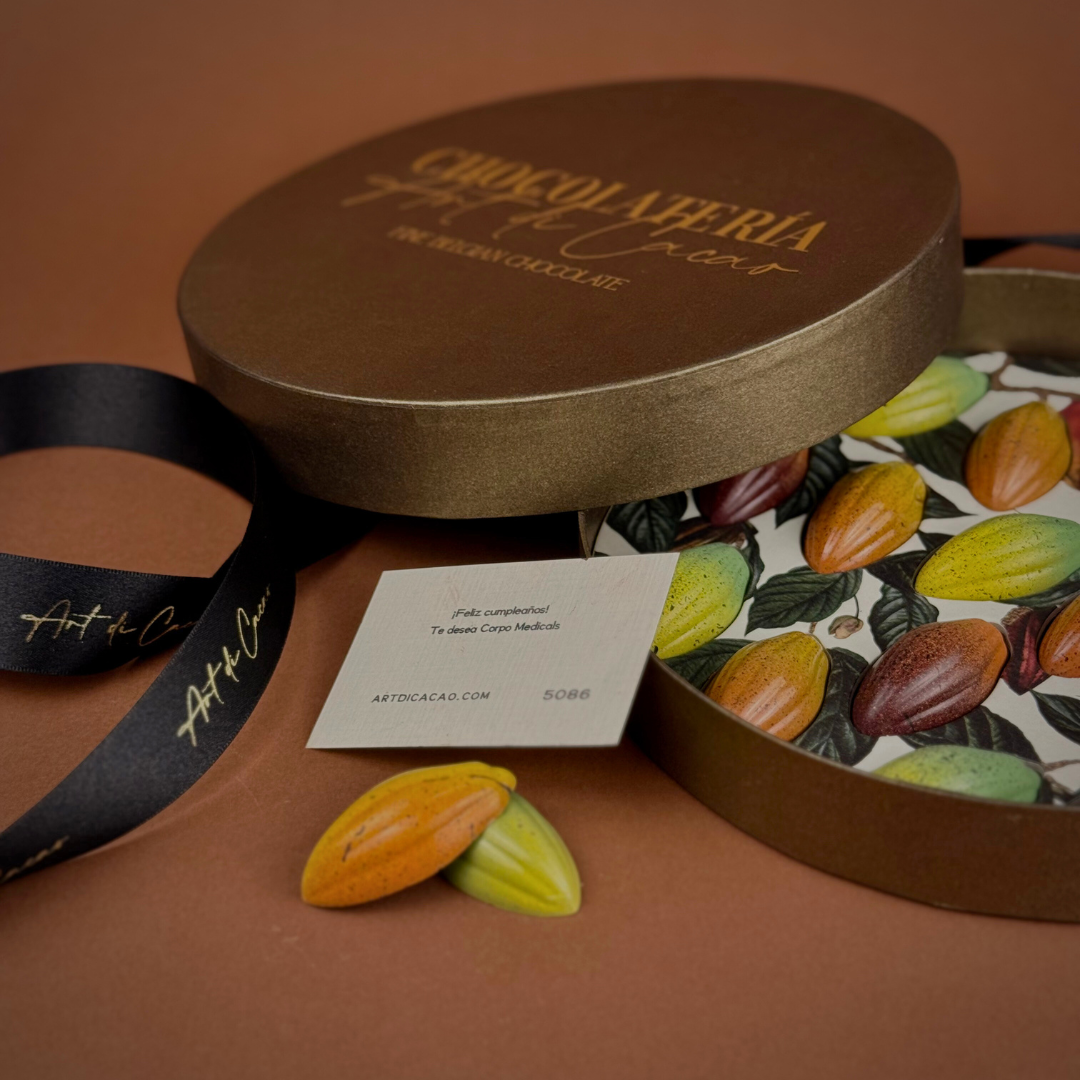 Chocolates belga Caja Cacaos | CD01