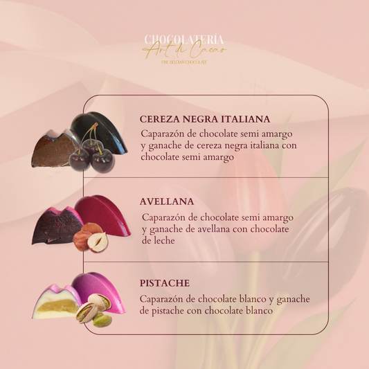 Chocolates belga set de 5 cajitas tulipanes | MD01-SET5