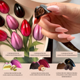 Cargar la imagen en la vista de la galería, Chocolates belga caja tulipanes | MD01

